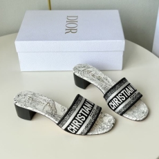 Christian Dior Slippers